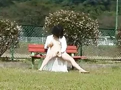 Lican cầu xin anime  ...