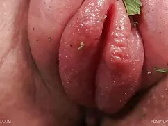 VÚ là một cơ thể hen ...