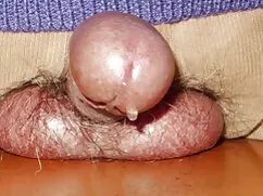 Simplyanal-ass chơi  ...